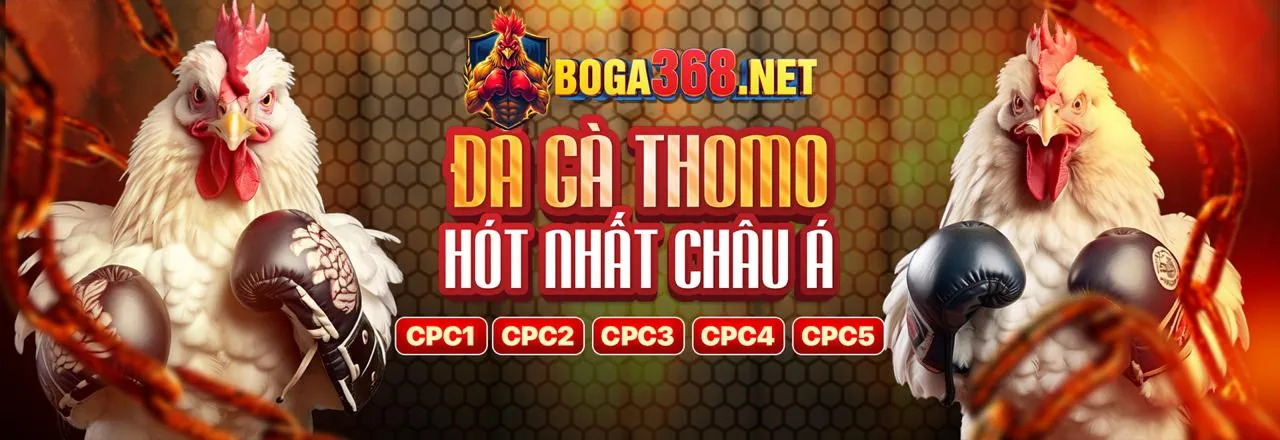 Tin tức và cập nhật mới nhất từ 78 vim